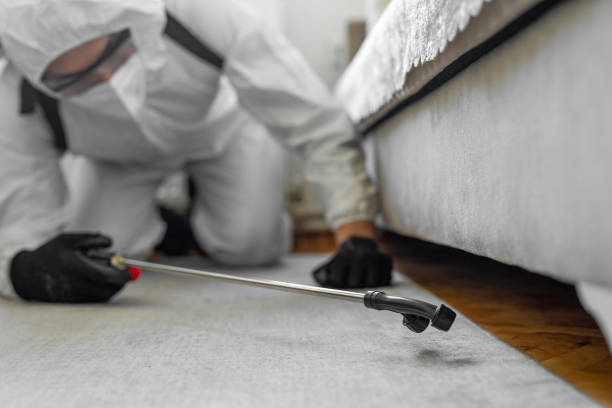 Professional Bed Bug Control technician working in Blaine, MN