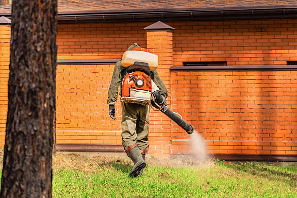 Trusted Bed Bug Control service in Blaine, MN - Nex Pest Control